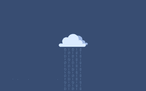Domain & Hosting